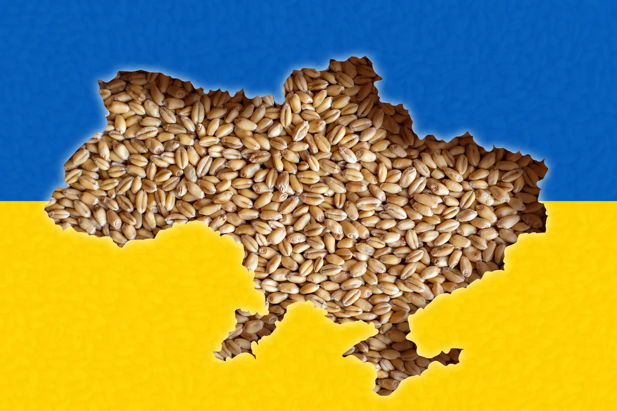 Ucraina va continua să beneficieze de suspendarea taxelor vamale pentru încă un an, până la data de 5 iunie 2025. Decizia a fost luată de Consiliul UE. Această măsură este însoțită de implementarea unui mecanism de protecție, care implică luarea rapidă a unor măsuri de remediere în cazul în care se înregistrează perturbări semnificative pe piața UE.