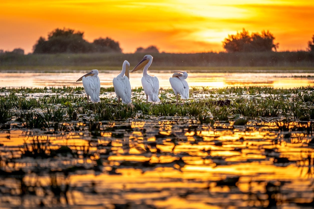 Delta Dunării, peisaj impresionant. Prețuri cu 50% mai mici la pachetele turistice