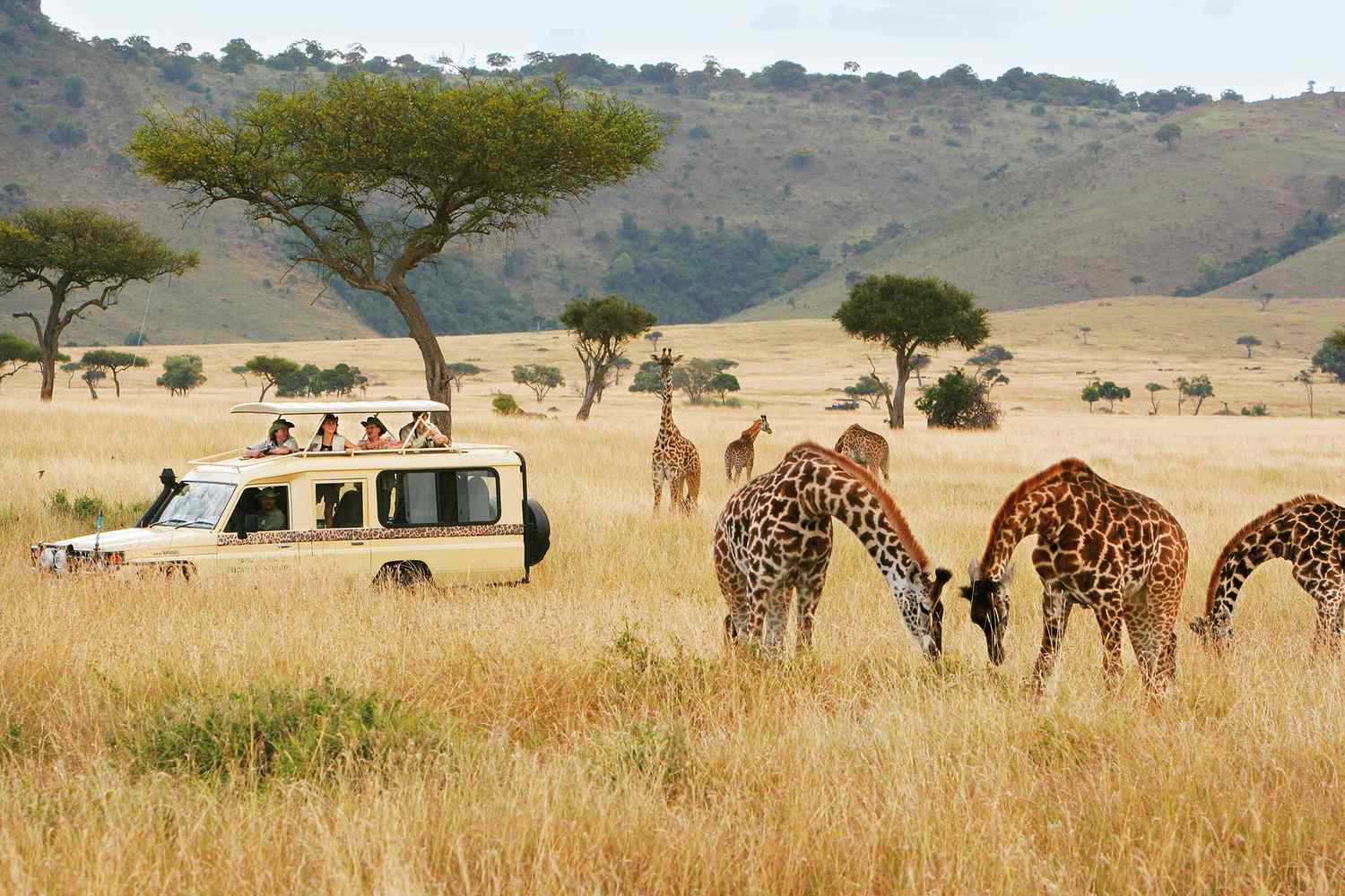 Sfaturi de călătorie. Cele mai impresionante excursii în Africa