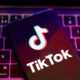 TikTok, platforma preferată a tinerilor. Cât câștigă un influencer