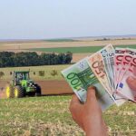 subvențiile, sursa foto agrointeligența subvenții