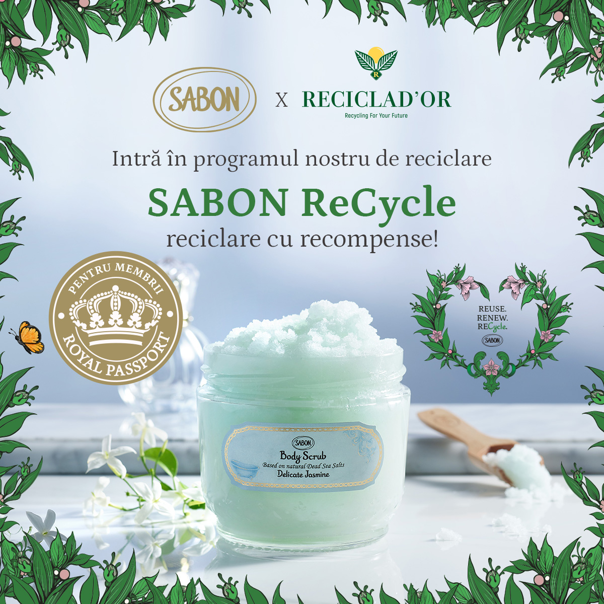 SABON