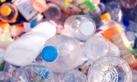 PET-uri Supermarketul care oferă mai mulți bani în schimbul PET-urilor! Este nevoie de o aplicație