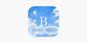 Buliga PSY a fost dezvoltată după aproape doi ani de testare, cu o investiție inițială de 30.000 de euro. (sursă foto: Buliga PSY)